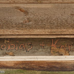 singold-bote_waldlehrpfad-schwabegg_027.jpg