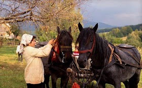 VOYAGE MONGOLIE - UN AN SUR LA ROUTE DU LAIT