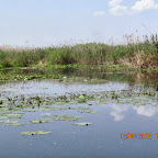 IMG_7597.JPG