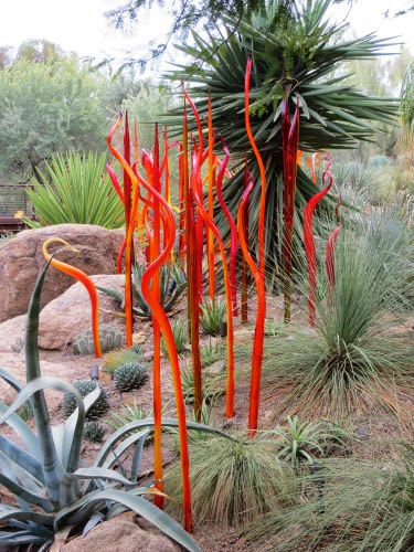 ChihulyGlass%252526DesertBotanicalGardens-9-2013-12-14-11-47.jpg