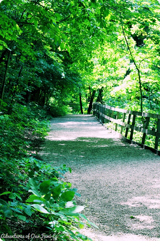 starved rock 22