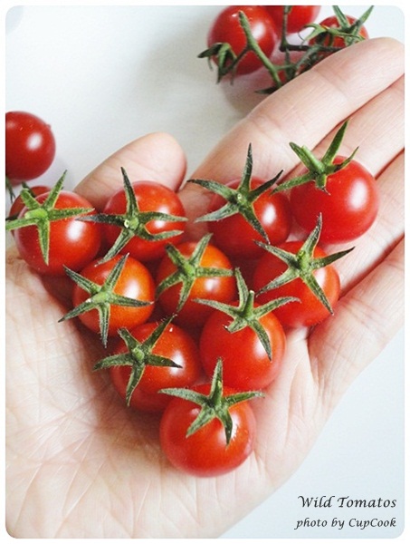 tomato (36)