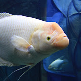 IMG_4734.JPG