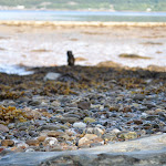 dsc_0261.jpg