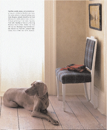 This Swedish side chair has a muted pattern of a typical hunting plaid.
