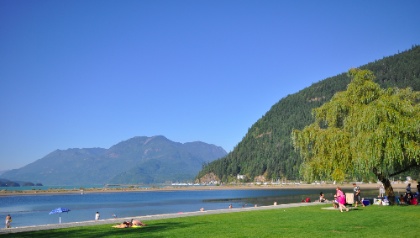 DSC_0264.jpg DSC 0264