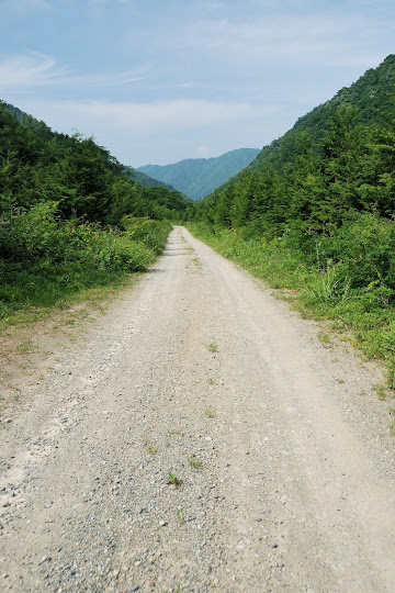 峰越林道 下呂・小坂線