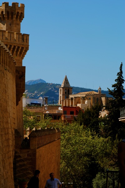 DSC_0009.jpg DSC 0009