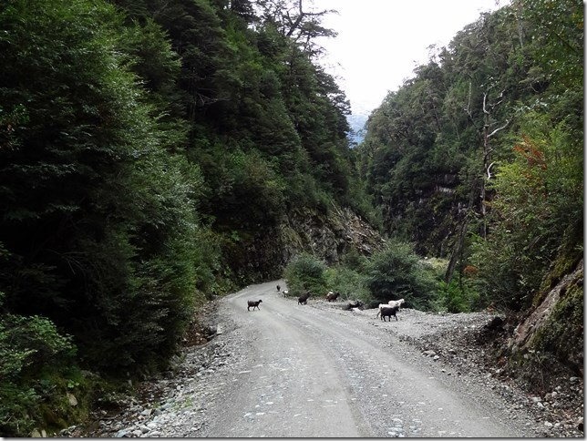 Carretera_Austral_DSC01319