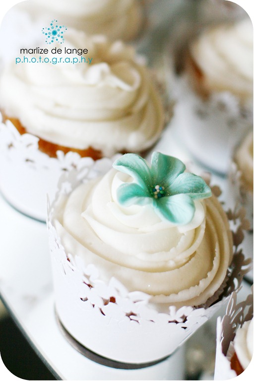 [IMG_0026%255B5%255D.jpg]