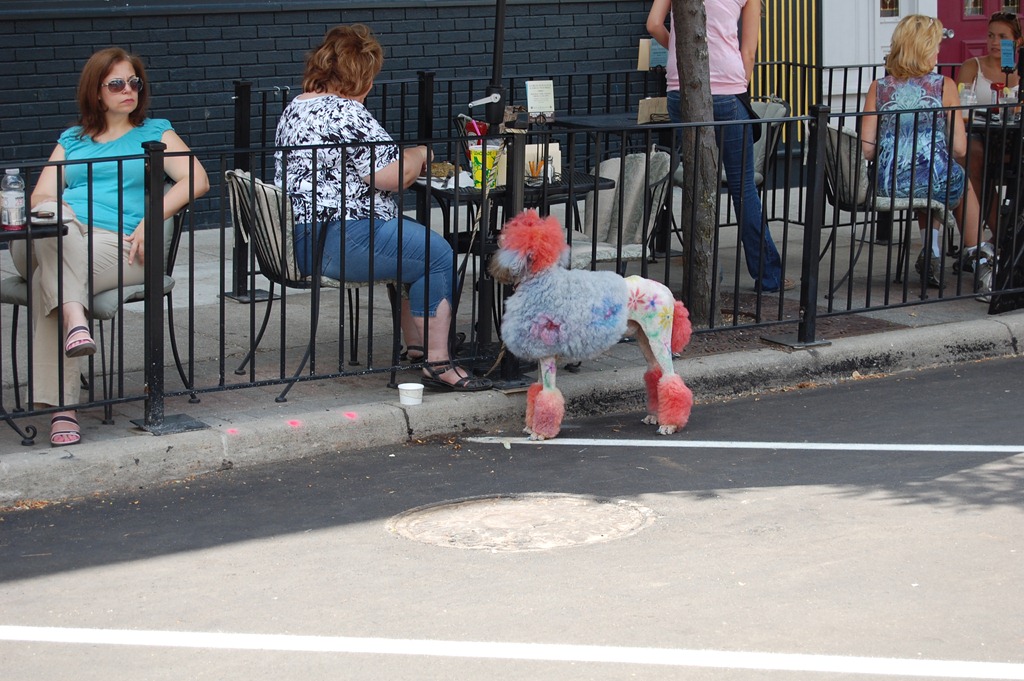 [DSC_0161.jpg]