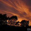 dsc03885.jpg
