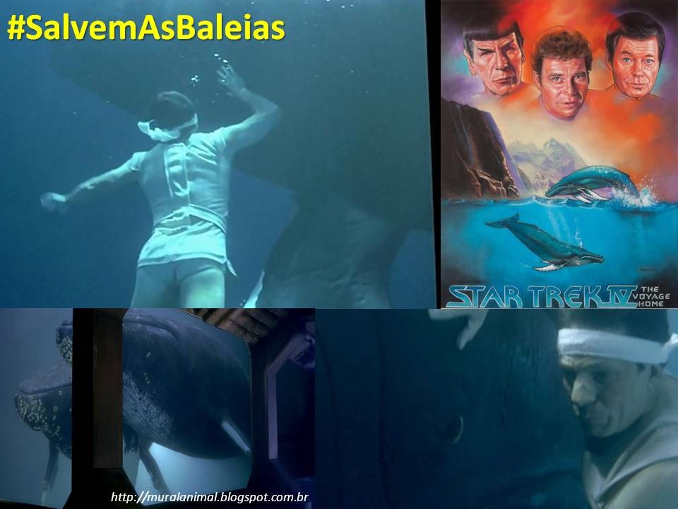 [baleias-star_trek2%255B3%255D.jpg]