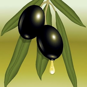 zeytin-illust.jpg