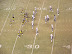 Chargers vs. Steelers Playoff