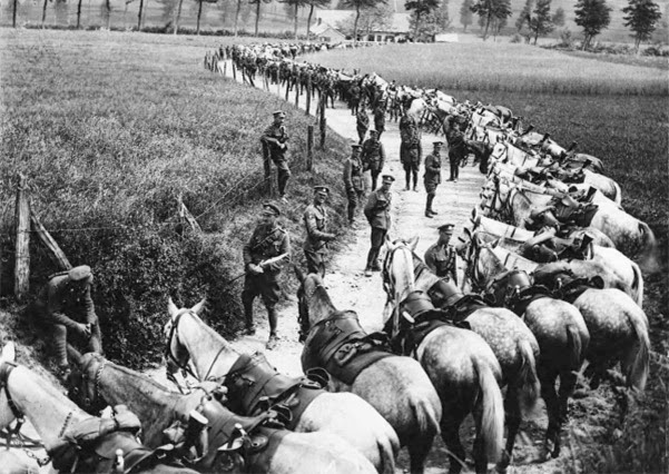 Primeira Guerra Mundial Primeira Guerra Mundial