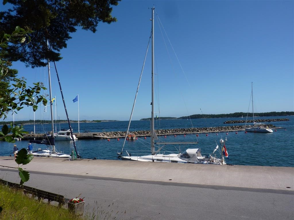 [P1030573-Medium7.jpg]