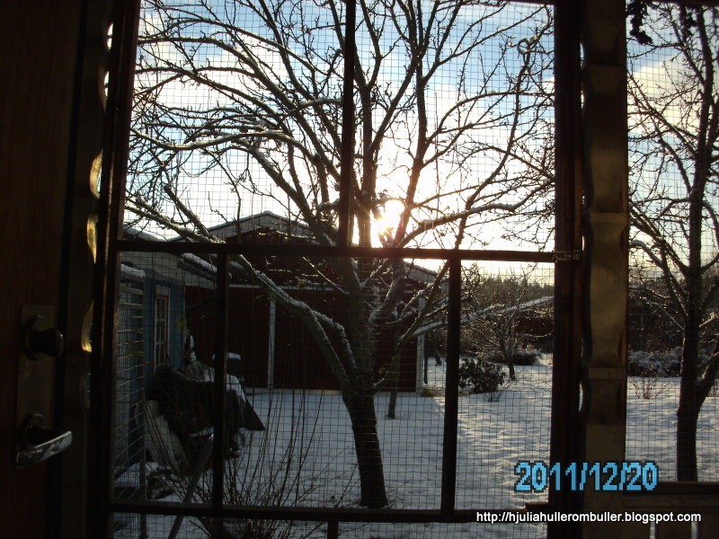 [PICT04964.jpg]