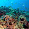 DSC_8548a.jpg