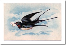 swallow-Image-Graphics-Fairy2