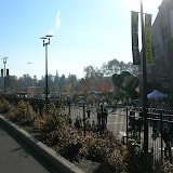 ducks 090.jpg