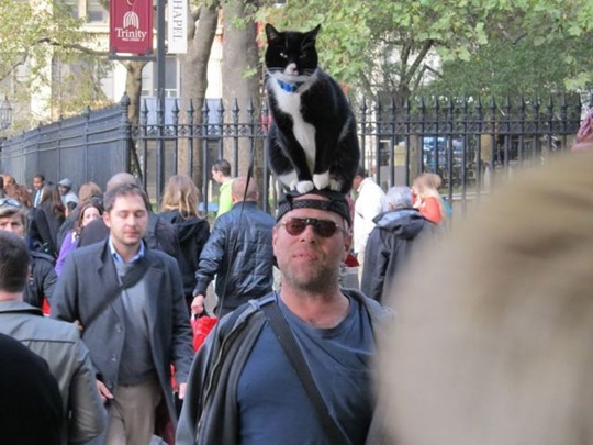 [viral-picdump-pics-17%255B2%255D.jpg]