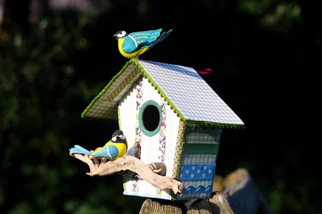 [Bird%2520house-008%255B4%255D.jpg]