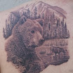 Brown Bear