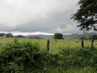 IMG_0159.jpg Photo