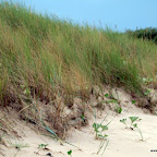 20100828_065_small.JPG