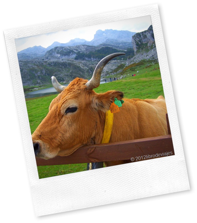 Entorno Lagos de Covadonga
