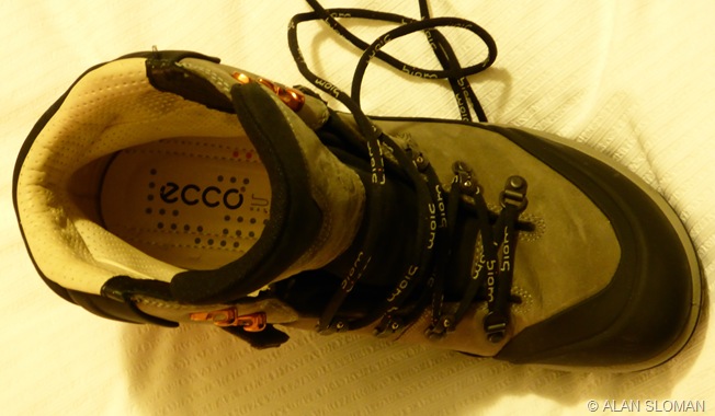 NEW ECCO BIOM HIKES