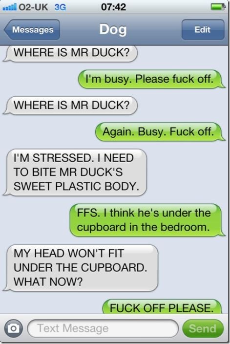 texts-from-dog-6e466d