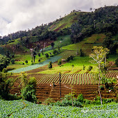 Rurukan Tomohon Indonesia-Sulawesi-Rurukan.jpg