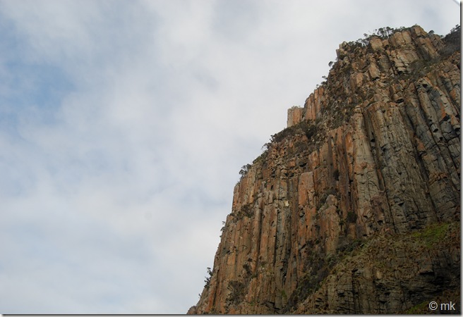 DSC_1212 DSC_1212