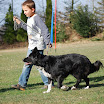 Expertenkurs 2011 015.jpg