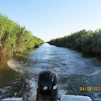 IMG_6239.JPG