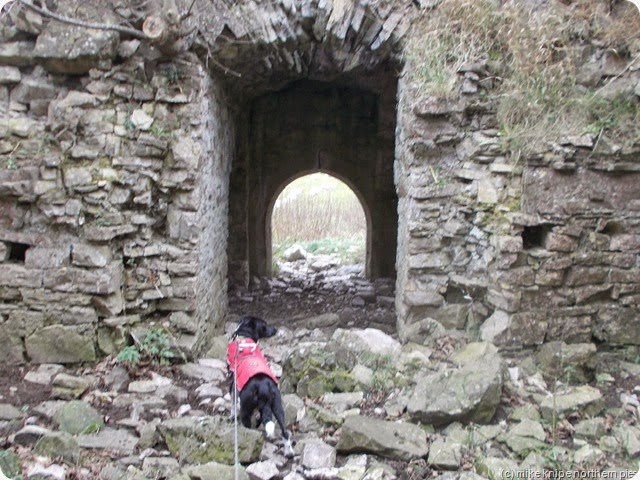 lucky at lammerside castle