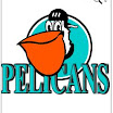 pelicans.jpg