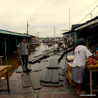 The city has floodded at it's edges because of the high water.