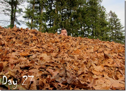 leaf pile day 27 movember