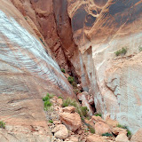 IMAG0047.jpg
