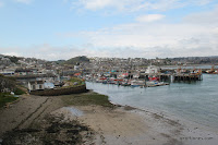 IMG_8017.JPG Photo