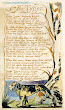The Tyger Poem By William Blake
