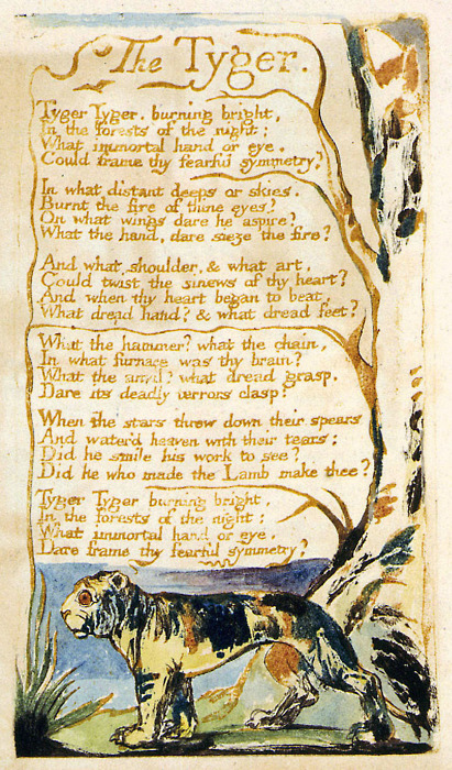The Tyger Poem By William Blake, William Blake