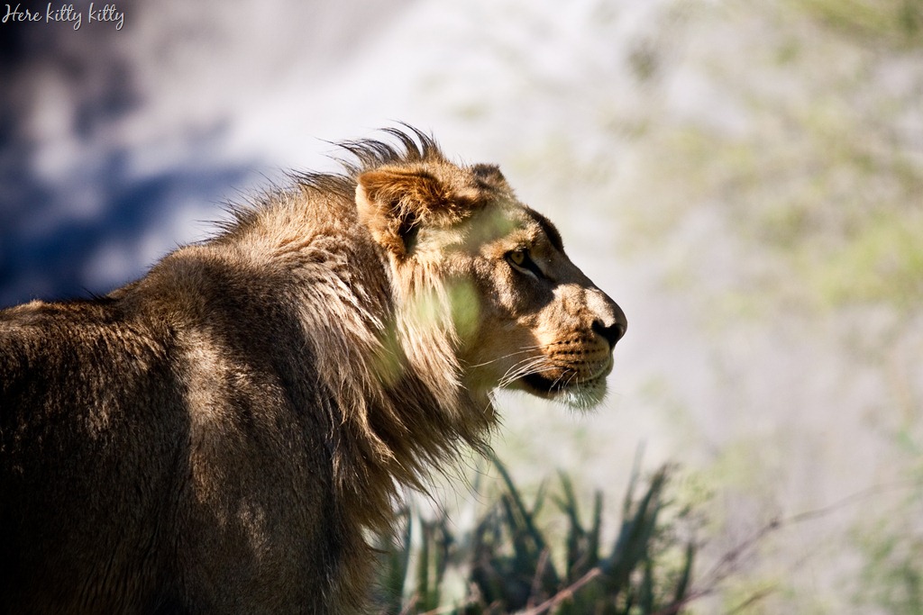 [20111231-IMG_0229%255B11%255D.jpg]