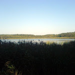 niedziela08.jpg