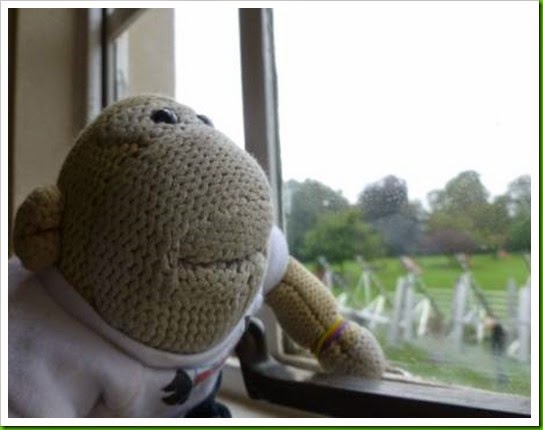 window gazing. window gazing.