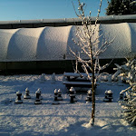 page14-1008-full.jpg