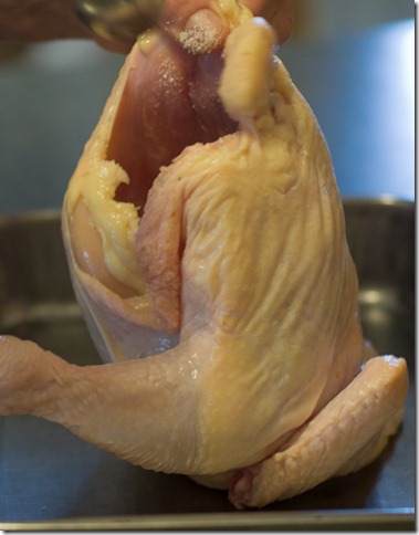 20110908-baked chicken-8 20110908-baked chicken-8